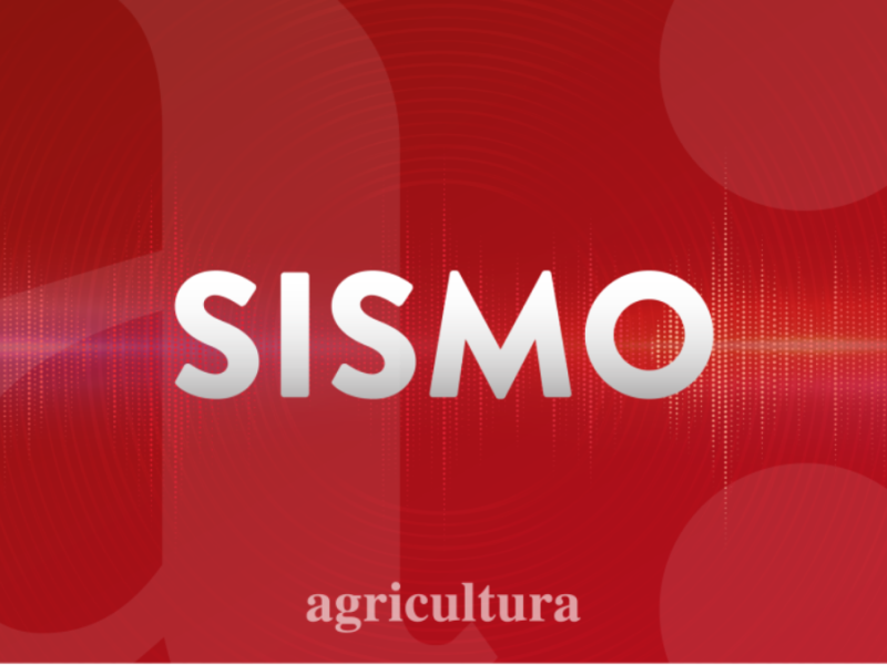 Sismo se registra en la región de Coquimbo: Conoce epicentro y magnitud