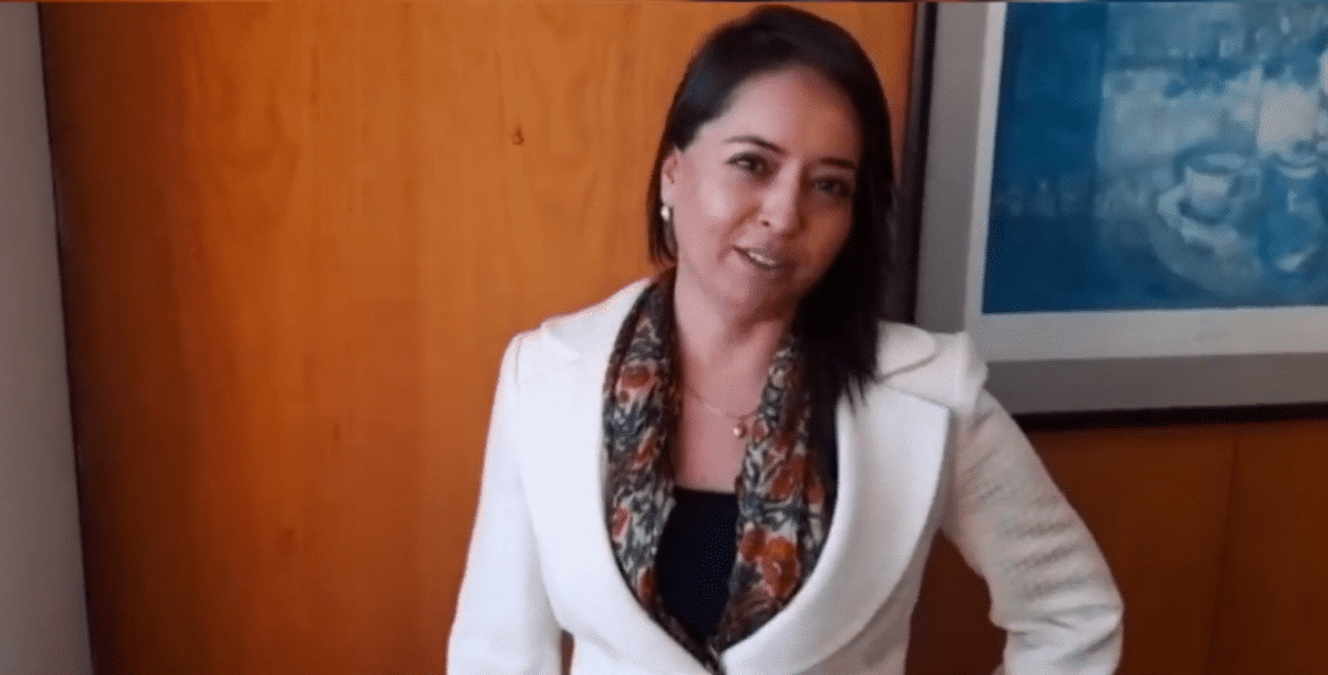 Diana González, consejera Regional del Biobío