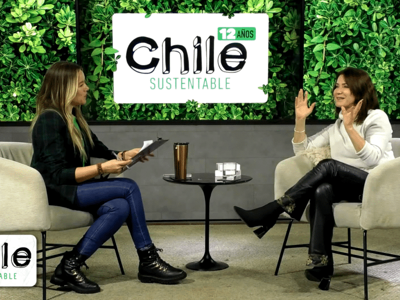 Chile sustentable sustentabilidad leonera hotel